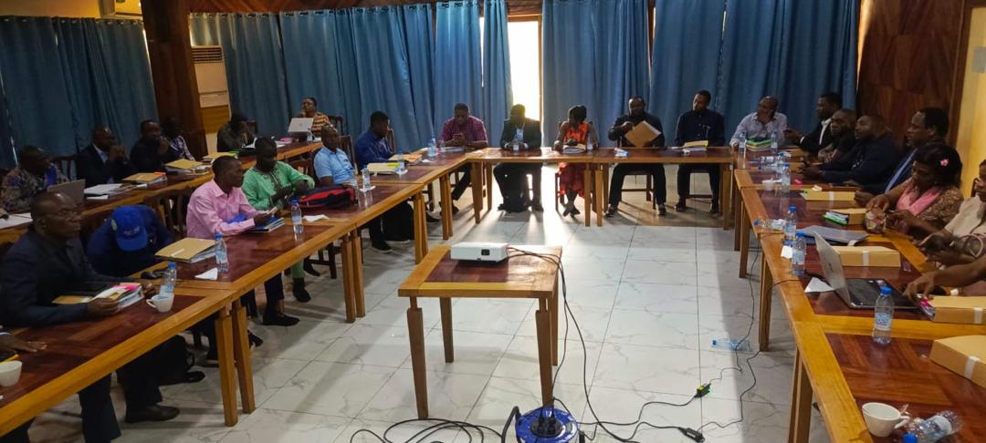 Working session at the validation workshop