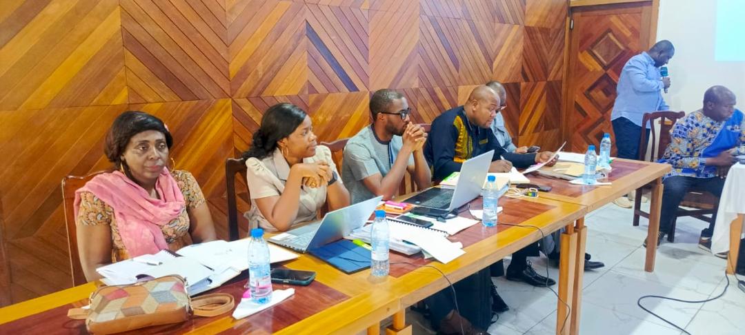 Working session with institutional representatives