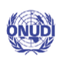 UNIDO logo